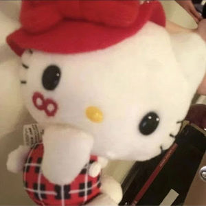 Meet your Posher, Adorethingss